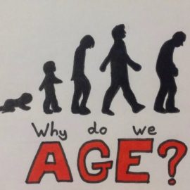 Aging in the 21st Century